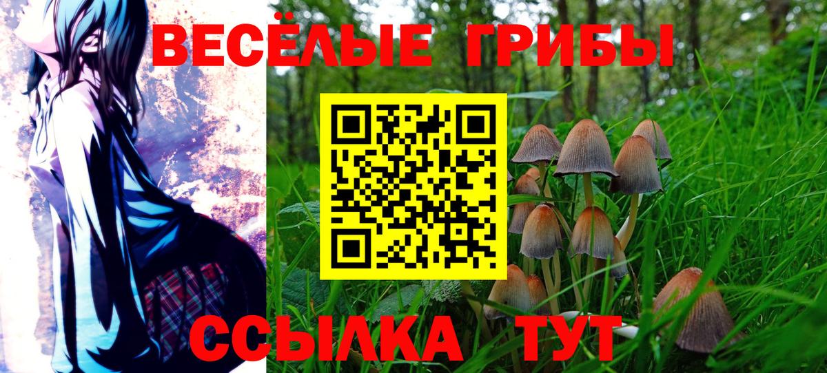 Галлюциногенные грибы GOLDEN TEACHER Ялта